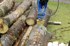 Holzspalter