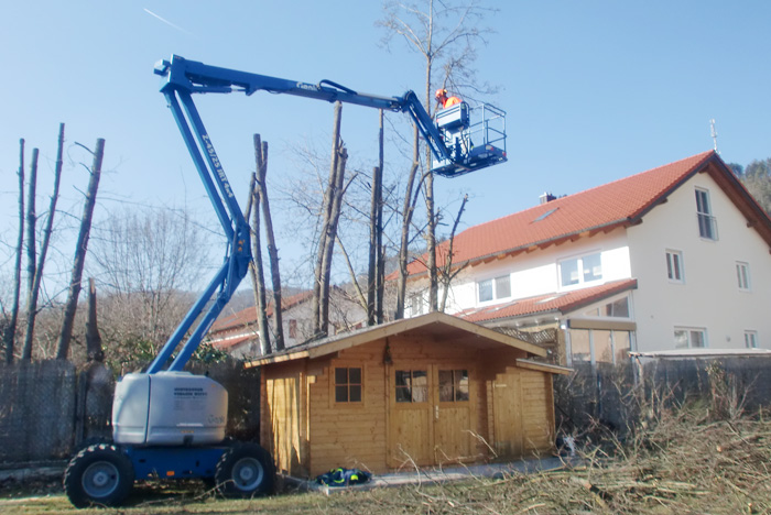 Gelenk-Teleskopbühne