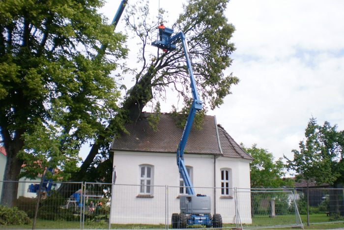 Gelenk-Teleskopbühne