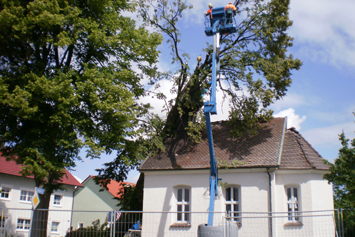 Gelenk-Teleskopbühne